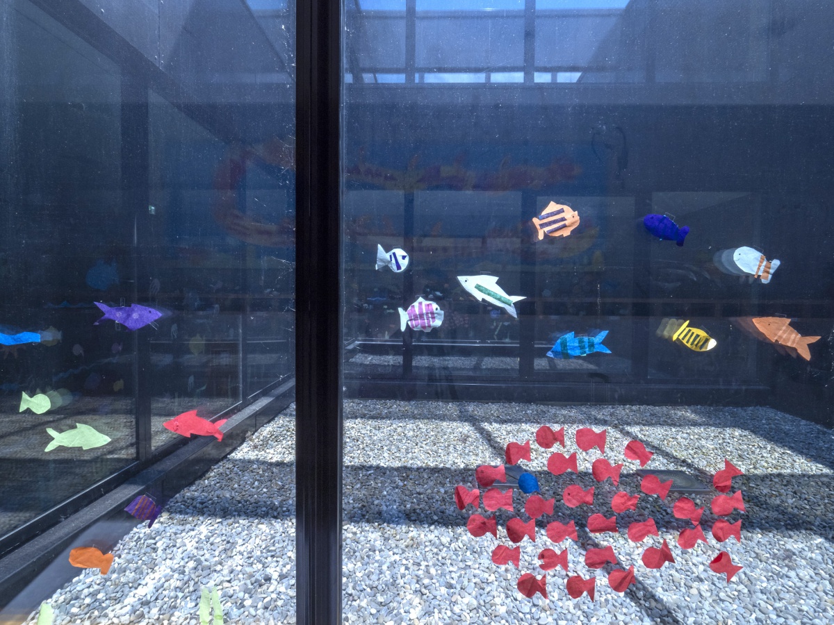 Schulzentrum - Neubau und Erweiterung, Deißlingen - 4 Schulzentrum - Neubau und Erweiterung, Deißlingen - 4