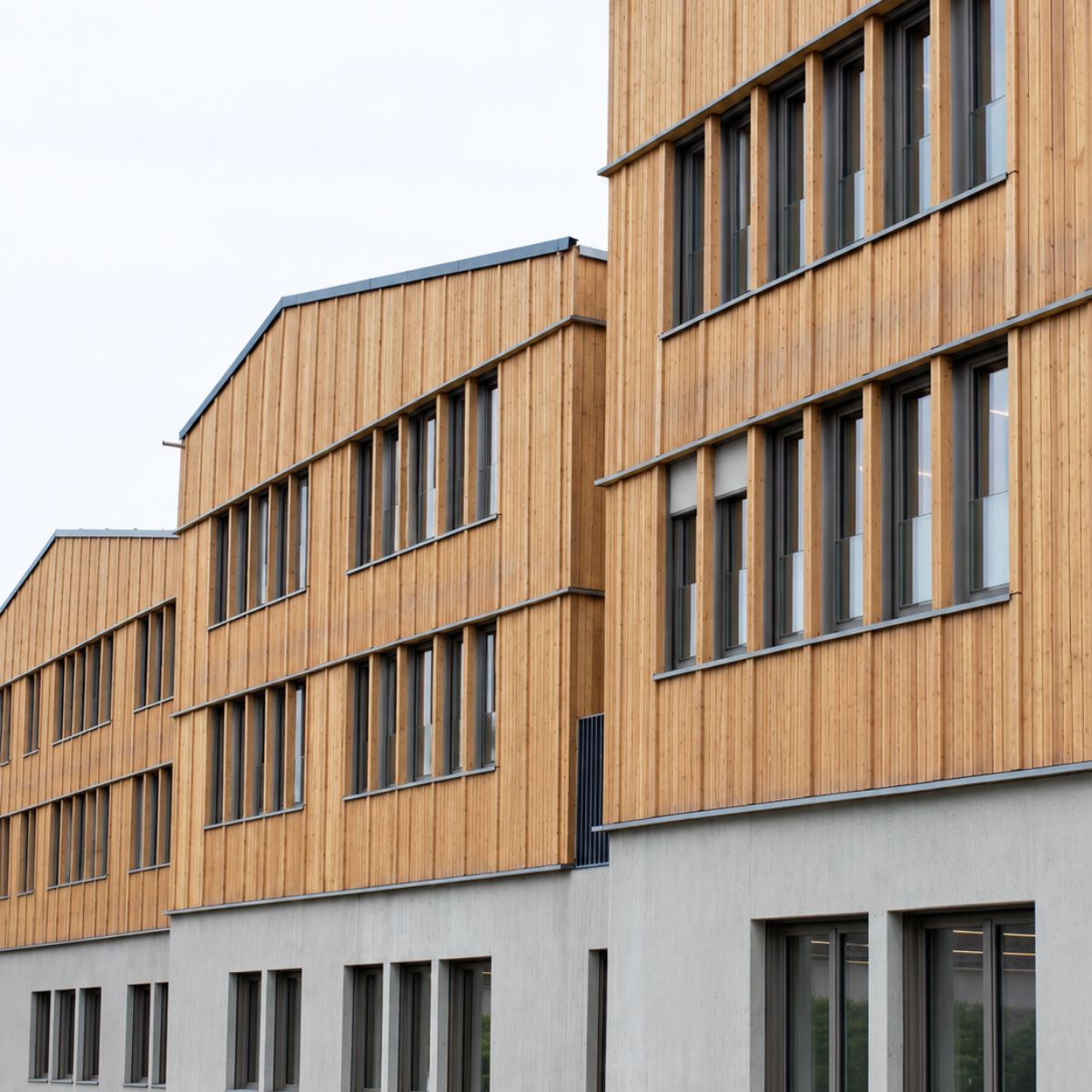 Freilassing | Grundschule | Projektupdate