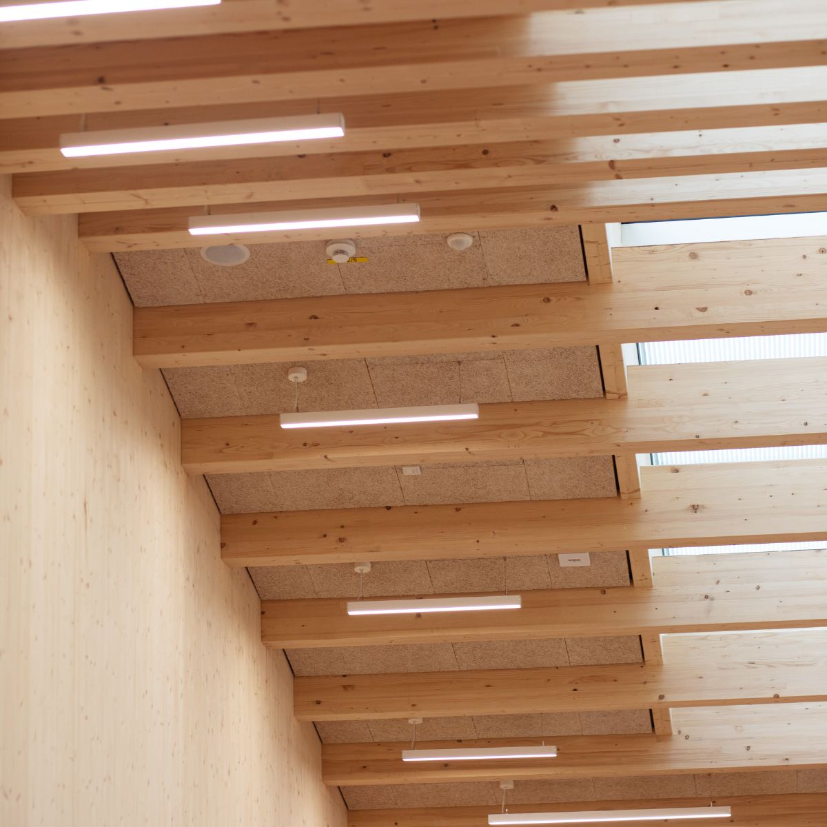 Freilassing | Grundschule | Projektupdate